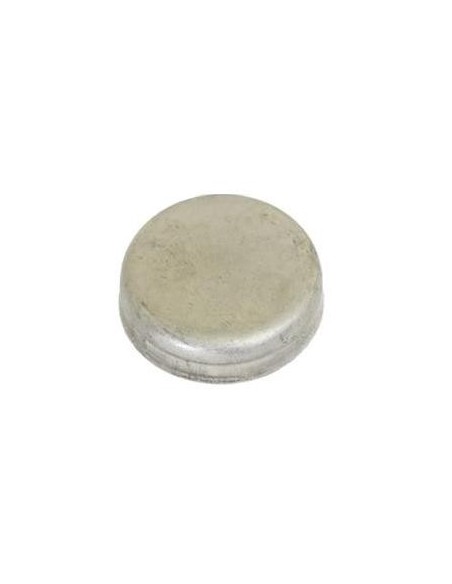 Dop Chiulasa 25.4 mm (1") Landini 10650576, Landini/Massey Ferguson 3639193M1, Perkins 0650576, 650576