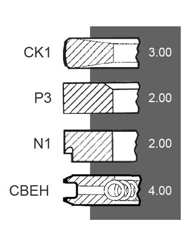 Segmenti Piston Ø 105 - 3x2x2x4 mm F285200310100