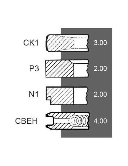 Segmenti Piston Ø 105 - 3x2x2x4 mm F285200310100, 800019910000