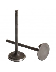 Supapa Admisie Ø 48.40 mm 4821709, 4821710, 8824754, 4798426, 75224947, 153624388