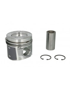 Piston 101 mm STD DEUTZ-FAHR 04285670, 04512307, 4406/01, FENDT F339202310020