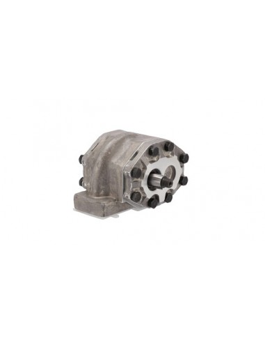 Hidraulic Pump 110509C91, 128180C91, 308873A1, 327987A1, 327988A1, 406763R91, 406763R92, 406827R91, 550132825, 66513C91, 66513C9
