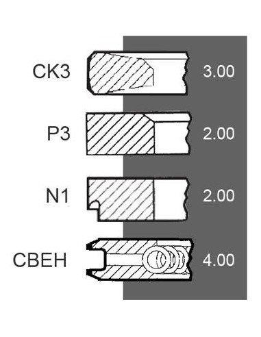 Piston Ring Ø 100-3x2x2x4 mm F281202310021, F281202310040, F281202310050, Renault 7701032429, 7701201833