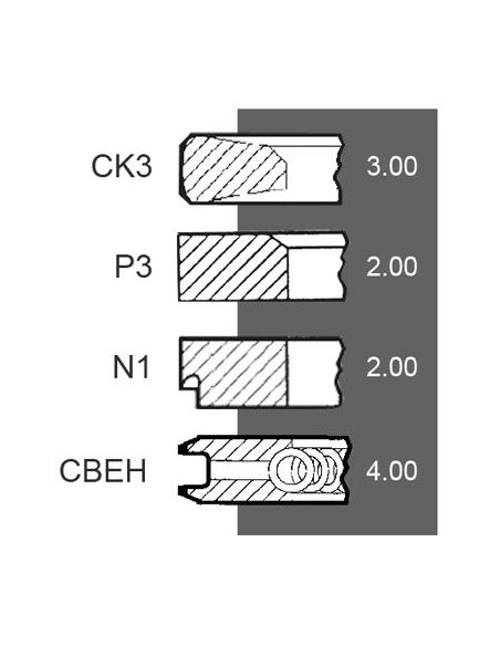 Segmenti Piston Ø 100-3x2x2x4 mm F281202310021, F281202310040, F281202310050, Renault 7701032429, 7701201833