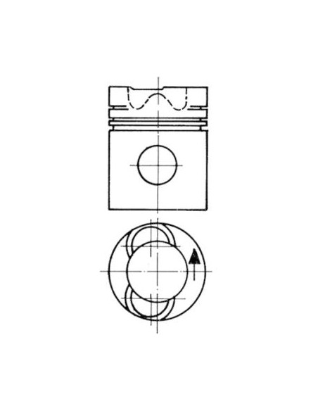 Piston 102 mm cu Segmenti 94724700