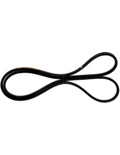 Belt, Rotor Drive Belt Case IH  244423A1, 244423A2, 244423A3, 244423A4, 244423A5, 396735A1