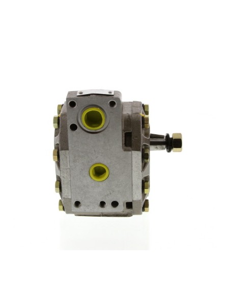 Hydraulic Pump 110509C91, 128180C91, 308873A1, 327987A1, 327988A1, 406763R91, 406763R92, 406827R91, 550132825, 66513C91, 66513C9