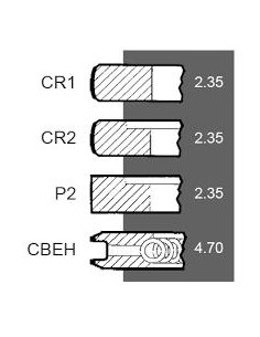 Ring Set Ø 111.76 mm +0.030" Ford New Holland 81814545, 83917470, 3917470, 87295224, CFPN6149BE, DJPN6149Y, 2
