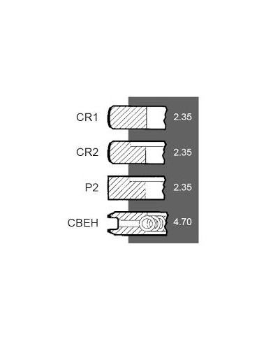 Ring Set Ø 111.76 mm +0.030" Ford New Holland 81814545, 83917470, 3917470, 87295224, CFPN6149BE, DJPN6149Y,