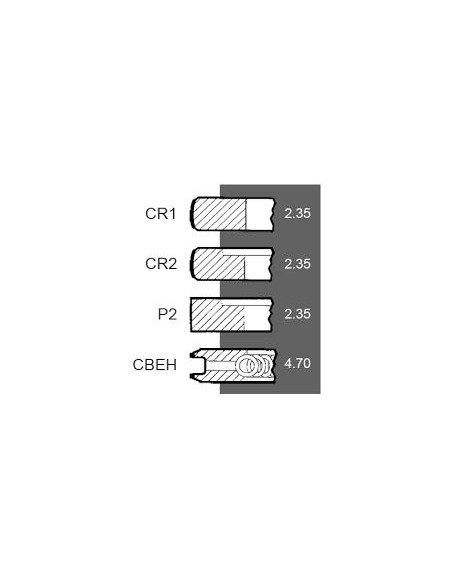 Segmenti Piston Ø 111.76 mm +0.030" Ford New Holland 81814545, 83917470, 3917470, 87295224, CFPN6149BE, DJPN6149Y