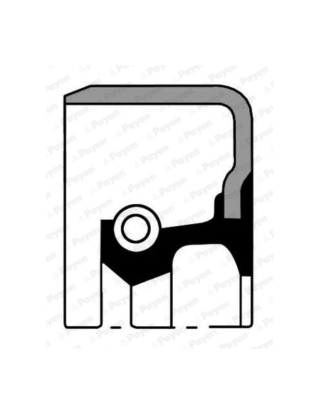 Simering 57.2x76.2x12.7 mm PAYEN NA736