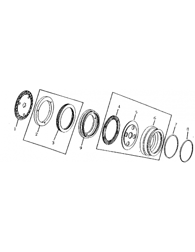Piston Frana Ø 306x37.8 mm John Deere L31016, T21807, T21455, T38063