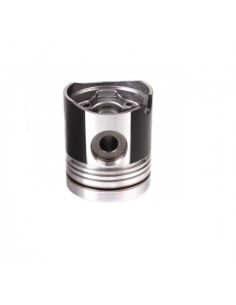 Piston 101.6 mm Deutz-Fahr 04159904, 02137974 2