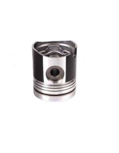 Piston 101.6 mm Deutz-Fahr 04159904, 02137974