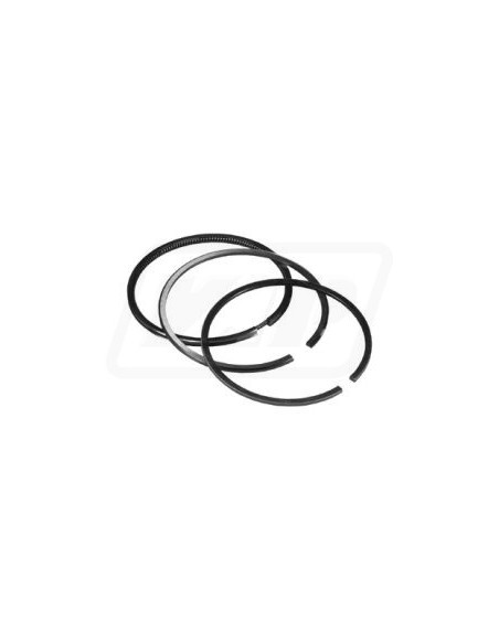 Segmenti Piston Ø 100 - 2.94x2.55x5 mm 04156566