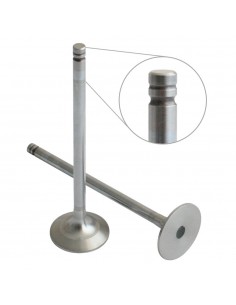 R502369, R518806, R536135, RE518080, RE557890, RE531221