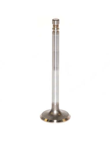 Inlet Valve Fiat 4579416