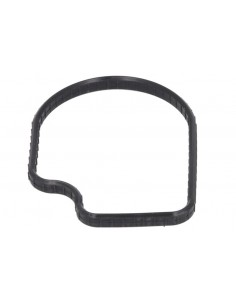 R501228, Garnitura Carcasa Thermostat