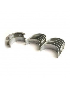 Cuzineti Palier SET 0.020''- 0.51 mm 4927-020