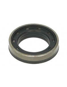 Seal 45x70x14/17 mm 0533965R1, 053965R1, 247519A1, 3765528M1, 3785500M1, 533965R1, 53965R1, 6300161M1, 84295344, 132741,