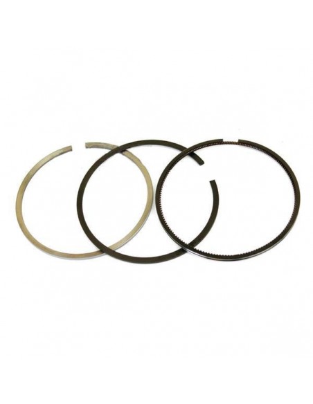Segmenti Piston 101.80 2.85x2.34x3.97 mm 59548