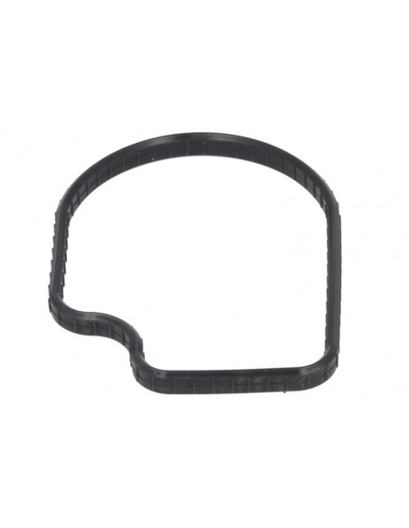 R501228, Gasket, Thermostat Housing