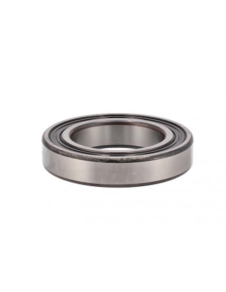 6011-2RS1, 9505853, 89505853, 89813475, 9813475