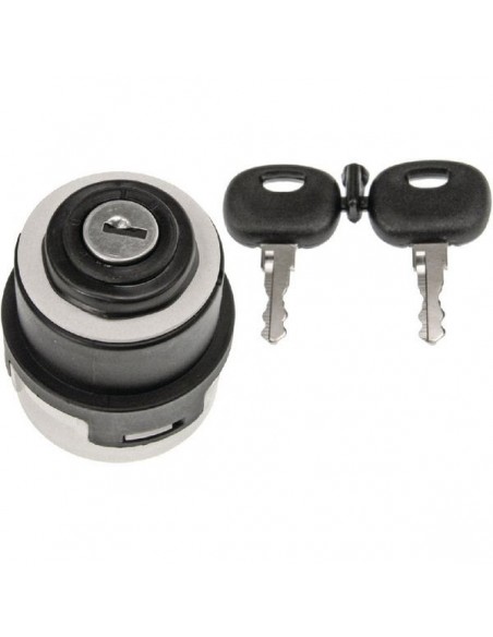 Ignition Switch Case IH 1533738C1, 1987423C1, 1987424C1, 84419919, A187613, A187614, P2741618
