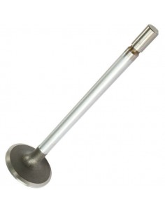 Supapa Admisie 81710772, 87295203, E1ADDN6507