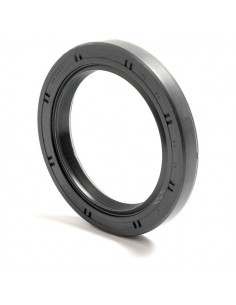 Simering 58x80x10 mm