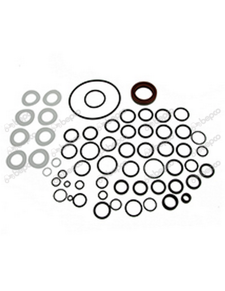 Kit Reparatie Pompa Hidraulica 26/621-36