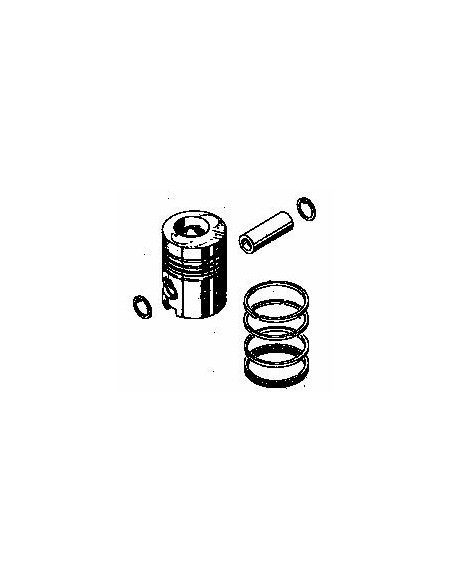 Ansamblu Piston R1 Ø 100.5 mm 0.024.0061.6