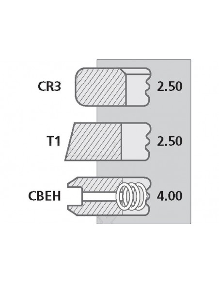 Piston Ring Set Ø 100-2.5x2.5x4 mm