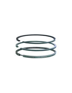 Segmenti Piston Ø 100-2.5x2.5x4 mm Perkins 4181A014, 4181A015, 4181A019, 4181A027, 4181A041