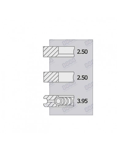 Segmenti Piston Ø 100-2.5x2.5x4 mm Perkins 4181A014, 4181A015, 4181A019, 4181A027, 4181A041