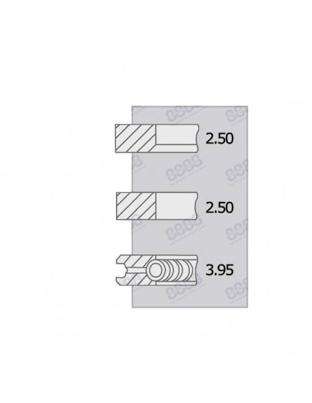 Segmenti Piston Ø 100-2.5x2.5x4 mm Perkins 4181A014, 4181A015, 4181A019, 4181A027, 4181A041