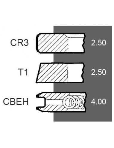 Piston Ring Set Ø 100-2.5x2.5x4 mm