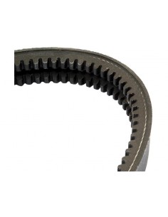 01180316, 02235265, 02235421, 02612083, 04157477