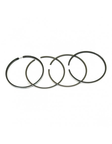 Segmenti 98.48 - 3.17x2.38x2.38x6.35 mm 40428