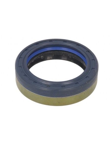Seal 45x60x16/17 mm 84166622, 641735, 12019672, 12019672B