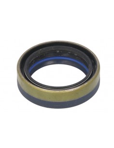 Seal 45x60x16/17 mm 84166622, 641735, 12019672, 12019672B 2
