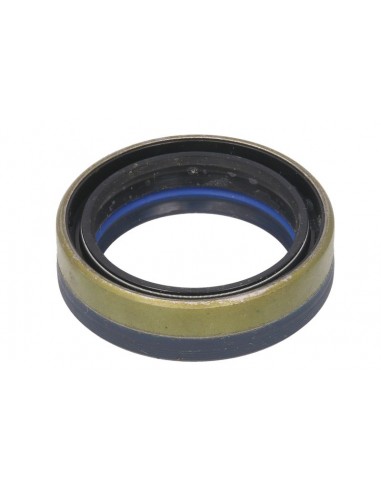 Seal 45x60x16/17 mm 84166622, 641735, 12019672, 12019672B