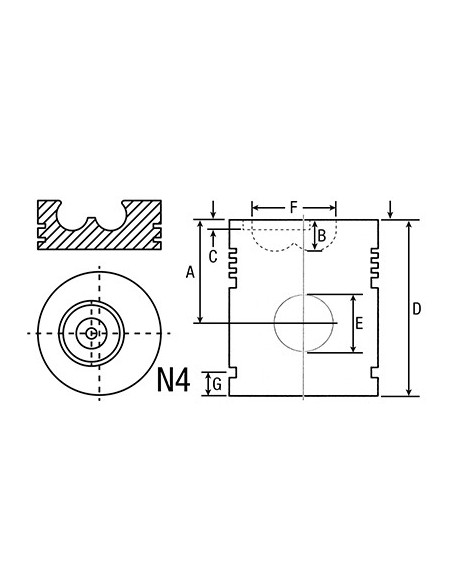 54/33-270 - Piston STD Ø 100 mm 1940174, 99476185