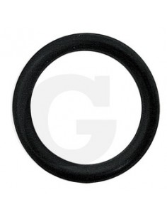 O-Ring 14457281
