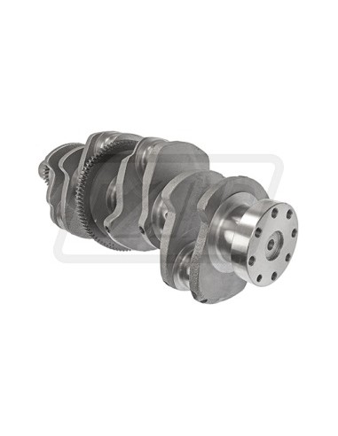Arbore Motor D268 3228376R91