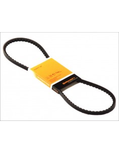 Belt AVX10X1150 mm CNH 153625433, 153625499, 153625544, 153634913, 1930365, 4688855, 4796325, 8109113, 98434468, 98473886 2