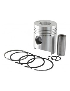 Piston 110 mm H 140 cu Segmenti 1901209