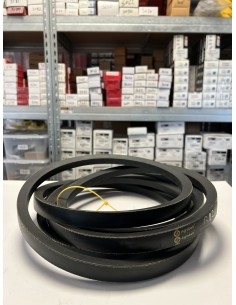 Curea Rabator 22x4264 mm John Deere Z30881, E38587, F9659, 603290.0, 000603290.0, 603290,  01145186, 28284841, D-28284841, 2