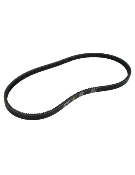 Belt 38x2450 mm 0211205, Z61154, Z54808, 1409652R1, 0211203, AP1001448