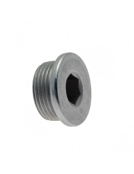 Buson Baie Ulei M22x1.5 mm WHT005282, WHT 005 282,